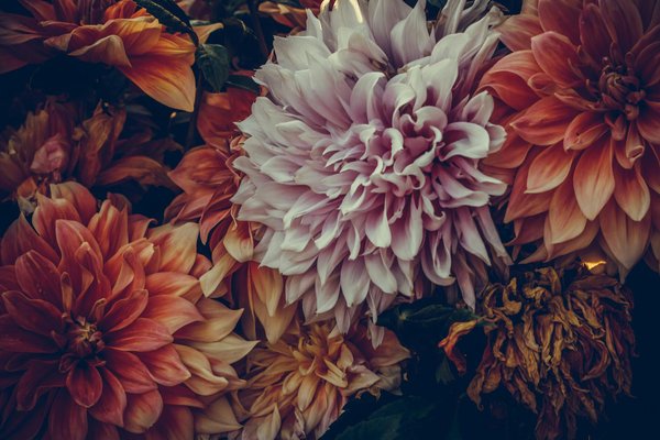 Revitalizez votre piscine à petit prix : stratégies et conseils pour une rénovation éclatante !